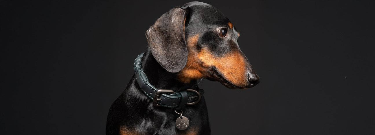 LAST DAYS - BLACK FRIDAY SALE 2025