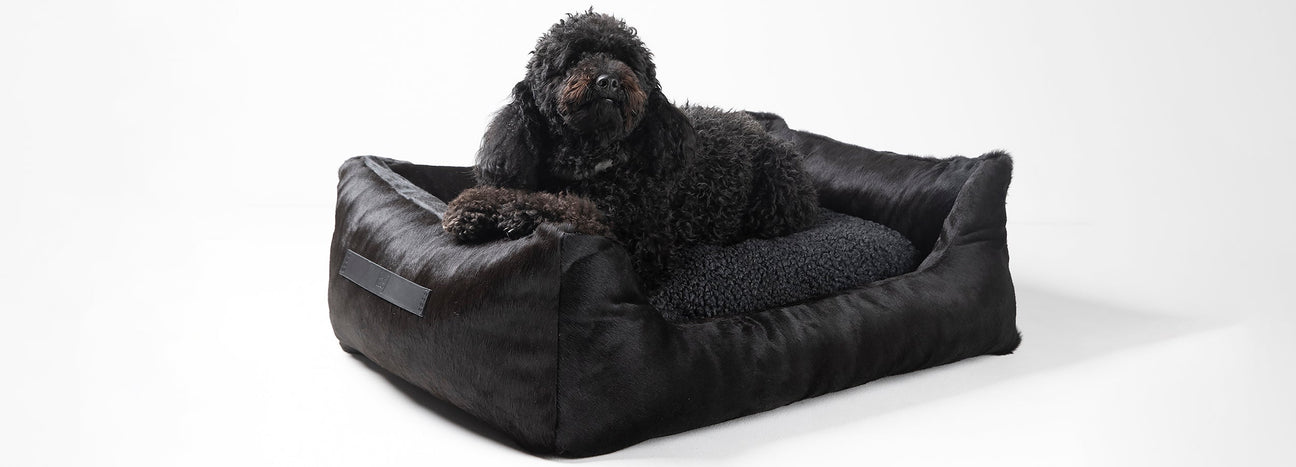 SLEEP - BLACK FRIDAY