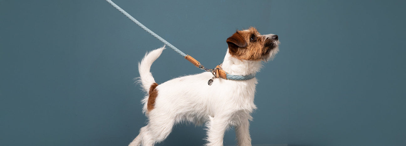 SHOPPING IL at Bone St