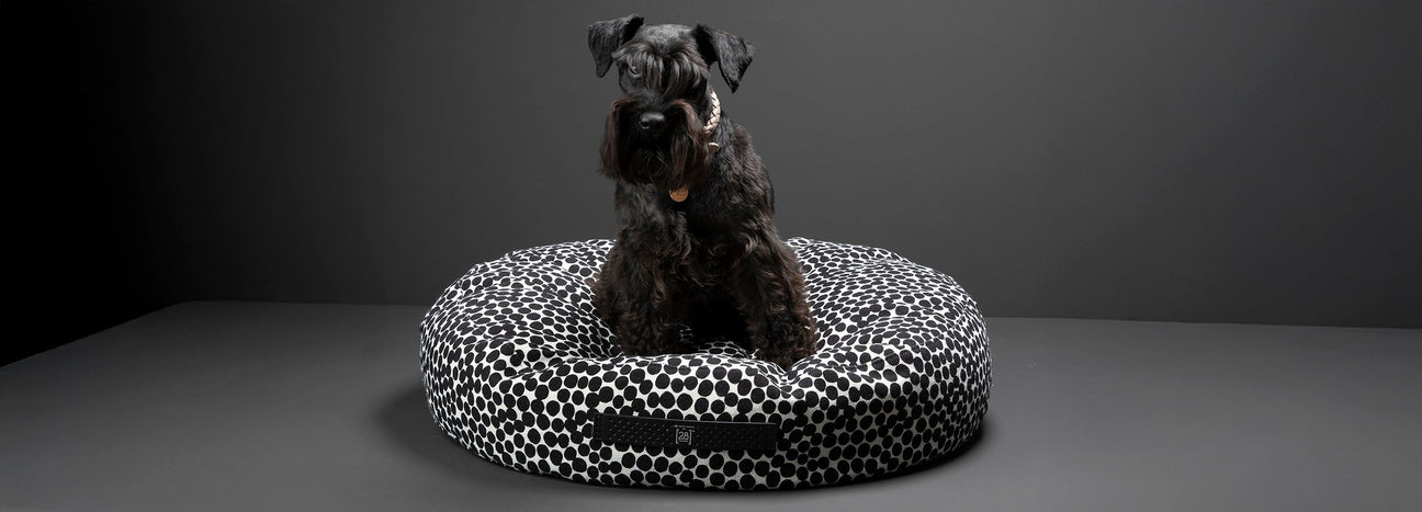 Dotto Collection By Paola NAVONE