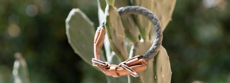 The Sustainable Collection