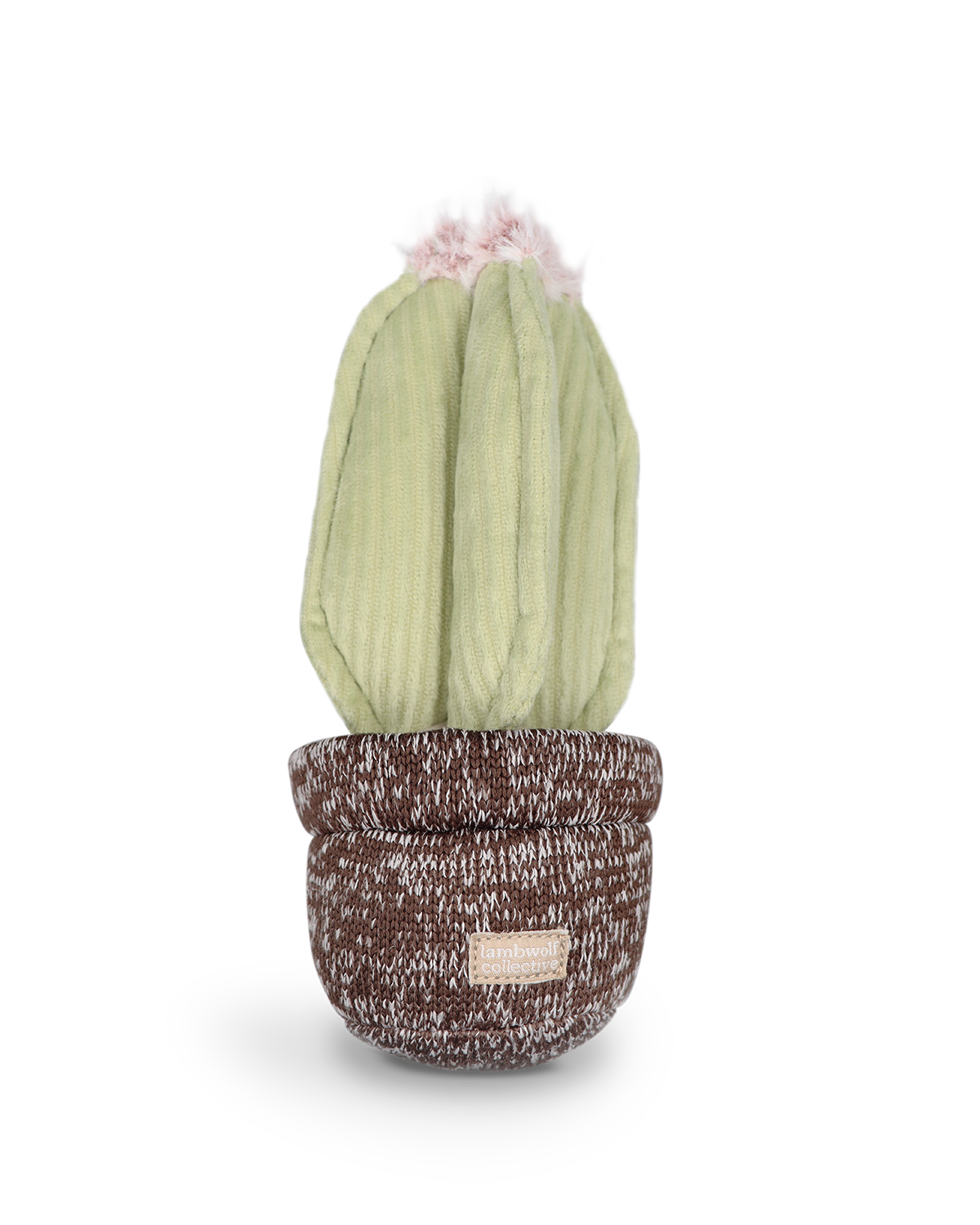 CACTUS | צעצוע קקטוס לכלבים