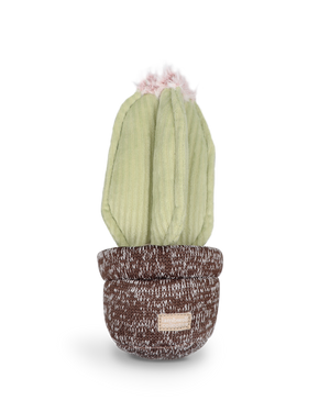 CACTUS | צעצוע קקטוס לכלבים