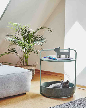 TAVOLINO SIDE TABLE | שולחן קפה / מיטה לכלב