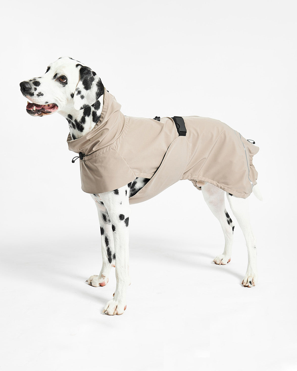 VALENTINA DOG RAINCOAT | מעיל גשם ורוח לכלב