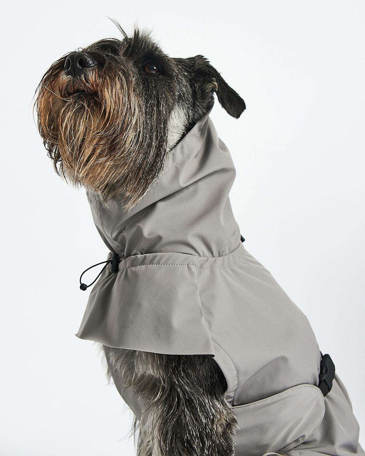 VALENTINA DOG RAINCOAT | מעיל גשם ורוח לכלב