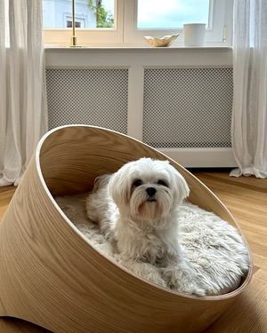 COVO DOG BED | מיטת עץ לכלב