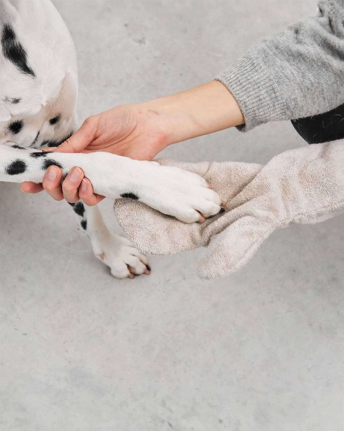 כפפת מגבת לכלב | GUANTO DOG DRYING GLOVES