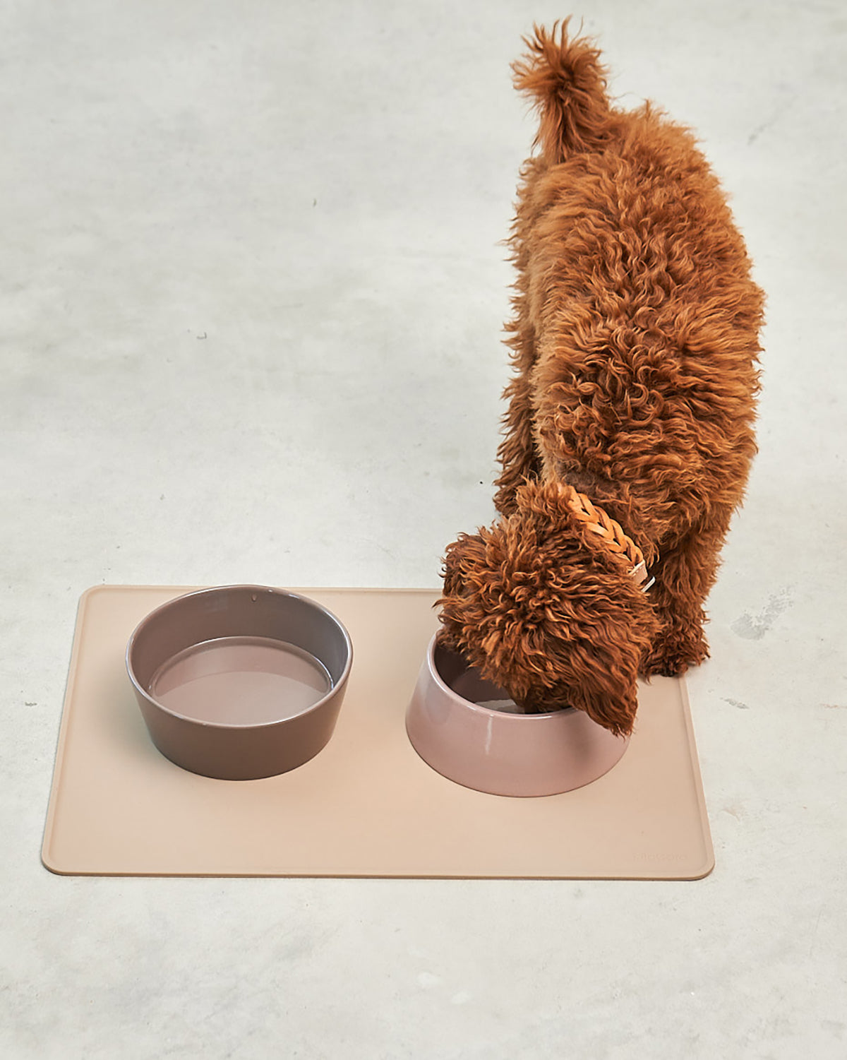 TOVA DOG PLACEMAT | פלייסמט לקערות לכלב