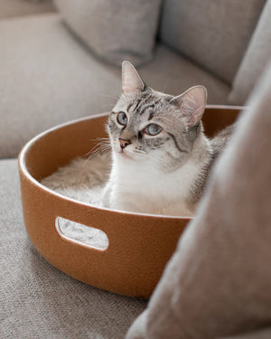 CESTO CAT BASKET | סל צעצועים / מיטה לחתול