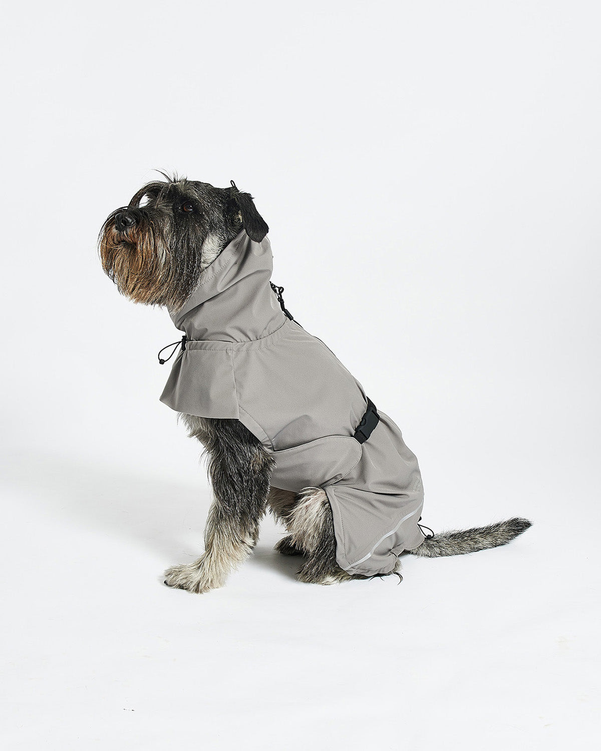 VALENTINA DOG RAINCOAT | מעיל גשם ורוח לכלב