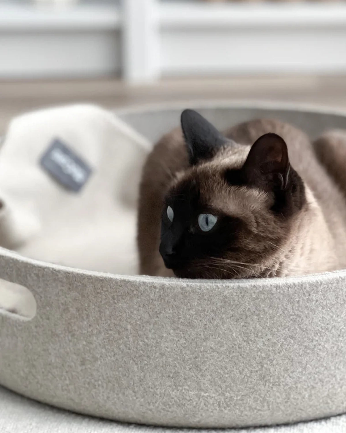 CESTO CAT BASKET | סל צעצועים / מיטה לחתול