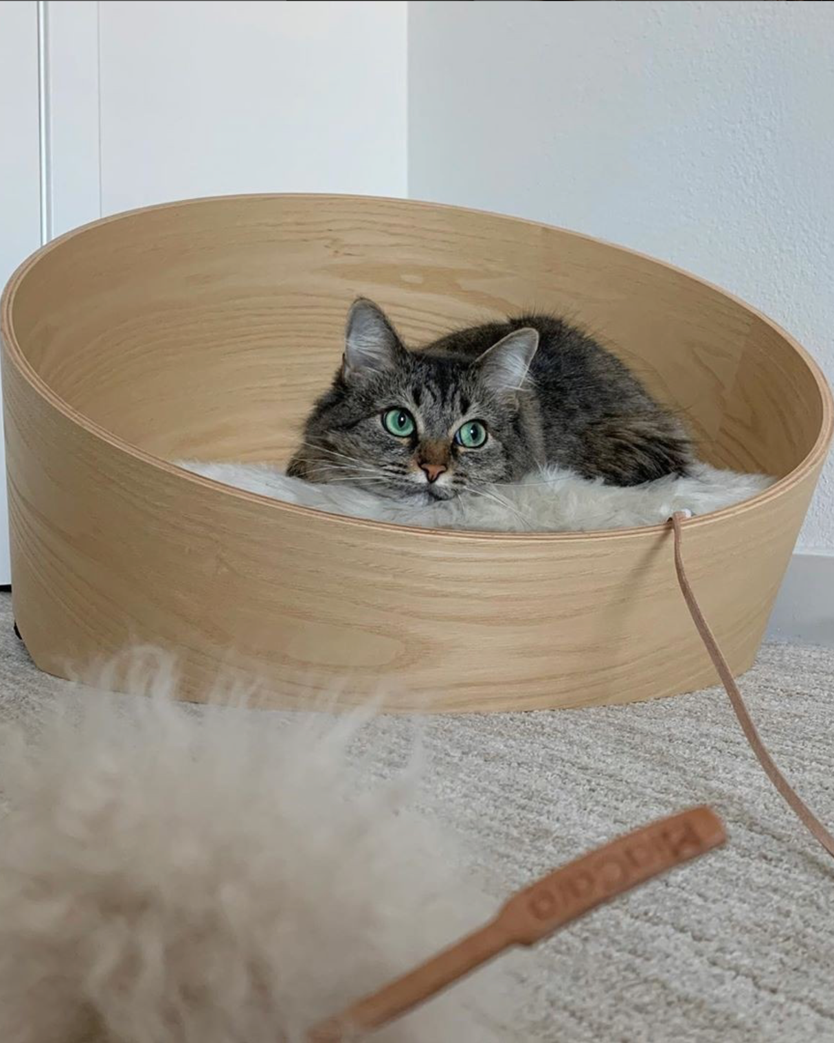 COVO CAT BED | מיטת עץ לחתול