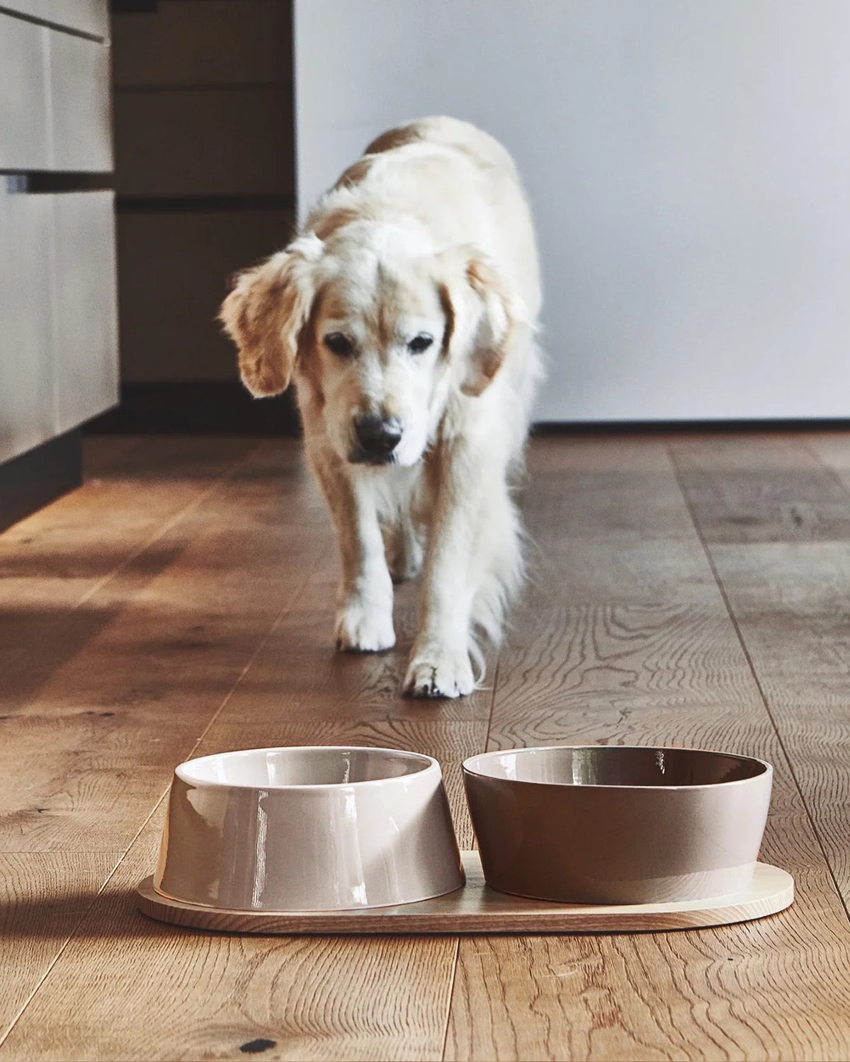 DOPPIO DOG BOWLS SET | סט קערות לכלב