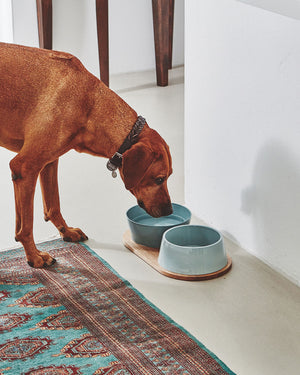 DOPPIO DOG BOWLS SET | סט קערות לכלב