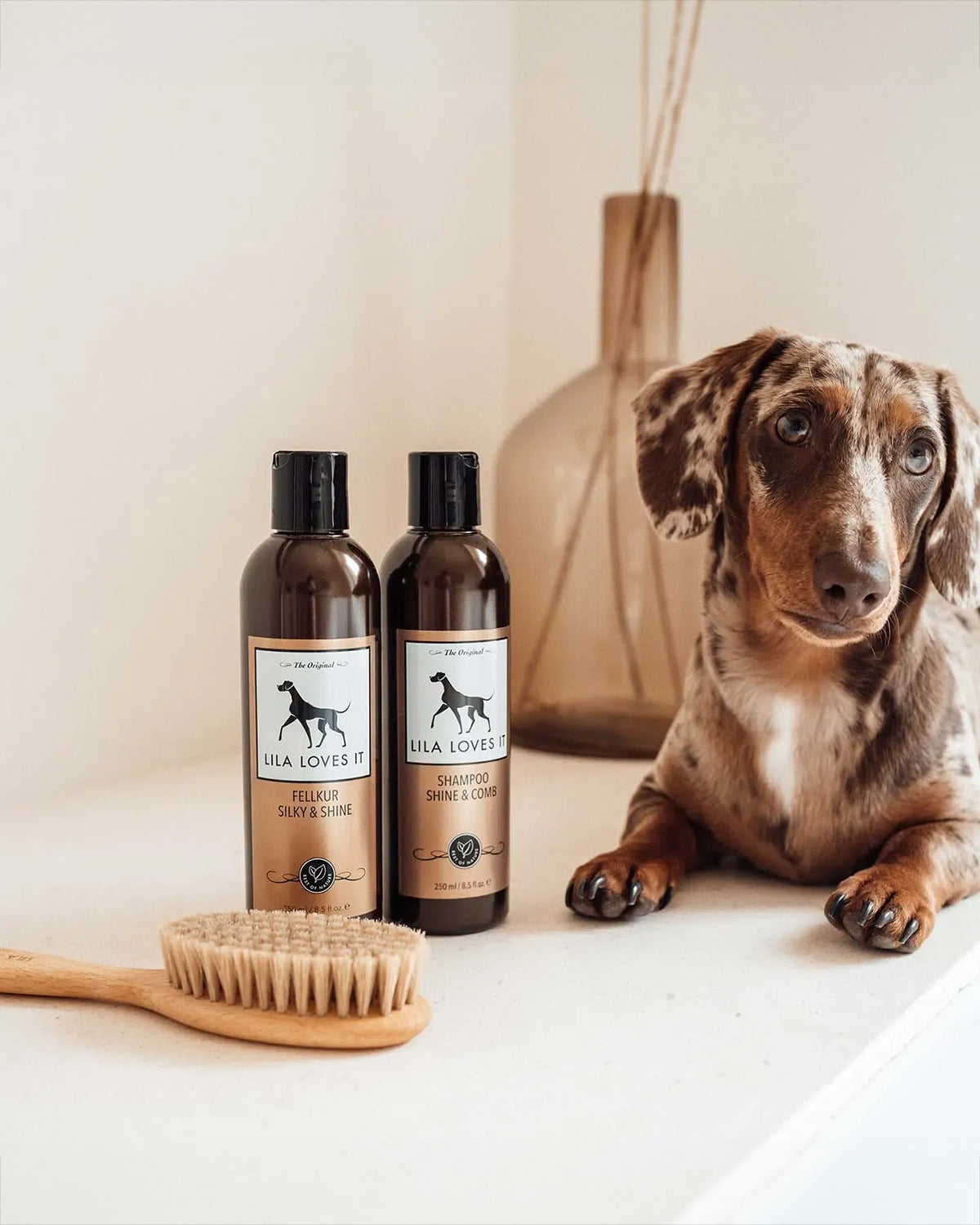 SHINE & COMB DOG SHAMPOO | שמפו לכלב