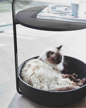 TAVOLINO CAT BED | שולחן קפה / מיטה לחתול