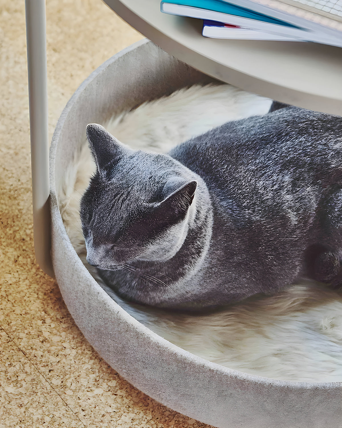 TAVOLINO CAT BED | שולחן קפה / מיטה לחתול