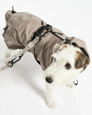 VALENTINA DOG RAINCOAT | מעיל גשם ורוח לכלב