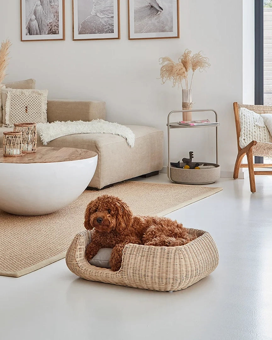 MIO DOG BED BASKET | מיטה לכלב