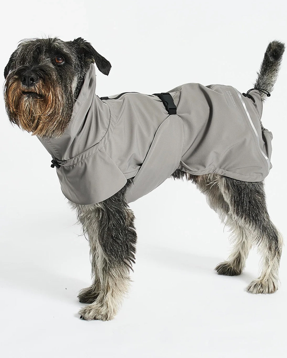 VALENTINA DOG RAINCOAT | מעיל גשם ורוח לכלב