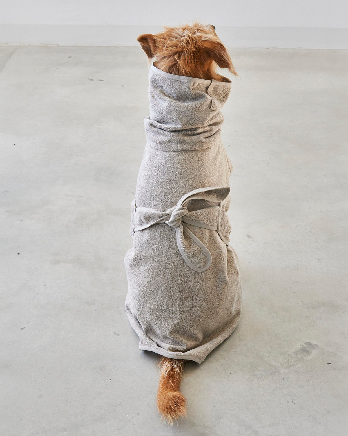 BAGNO DOG BATHROBE | חלוק רחצה לכלב