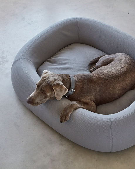 מיטה  אורתופדית לכלב | BARCA ORTHOPEDIC DOG BED