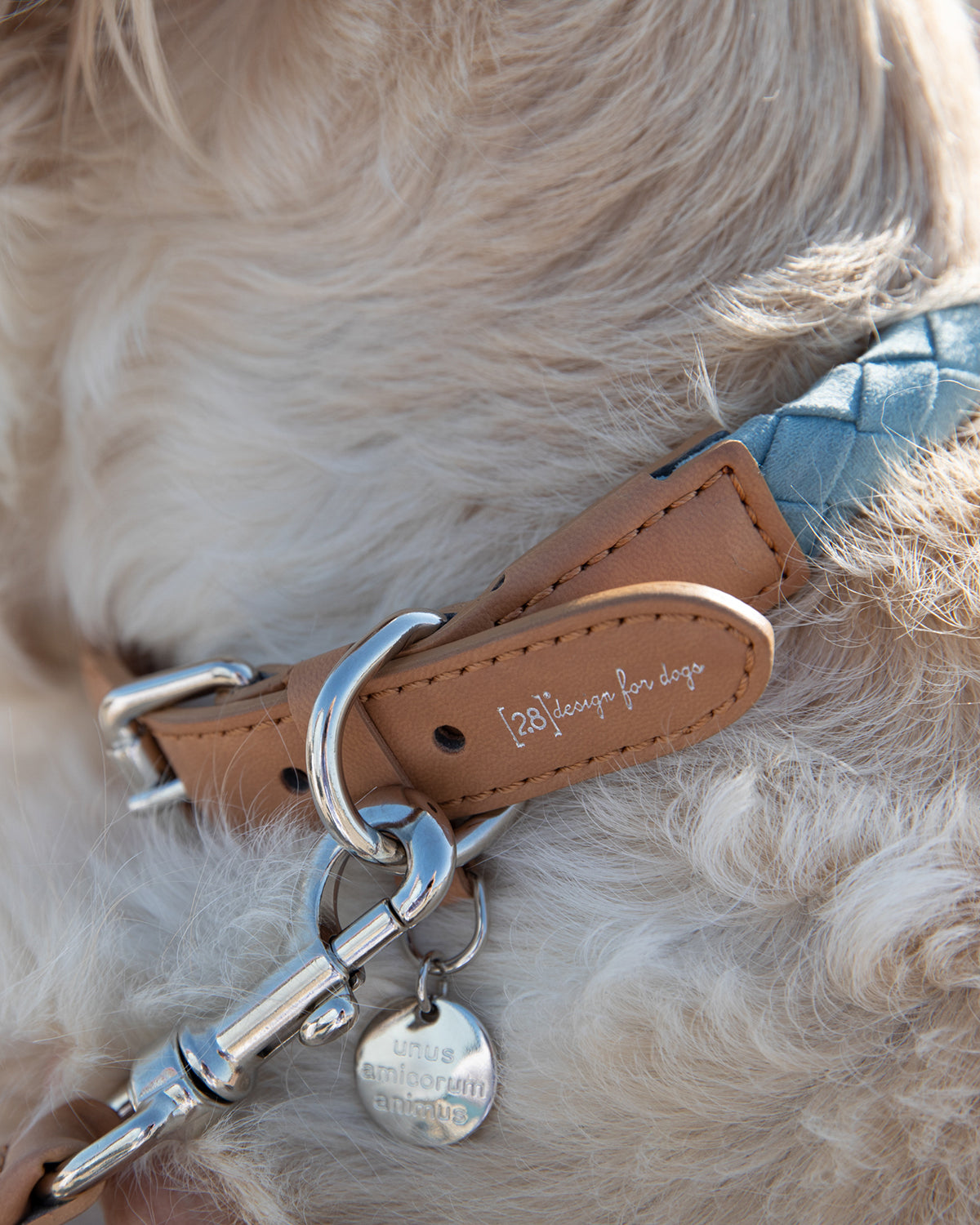 FERDINANDO VEGAN COLLAR | קולר לכלב