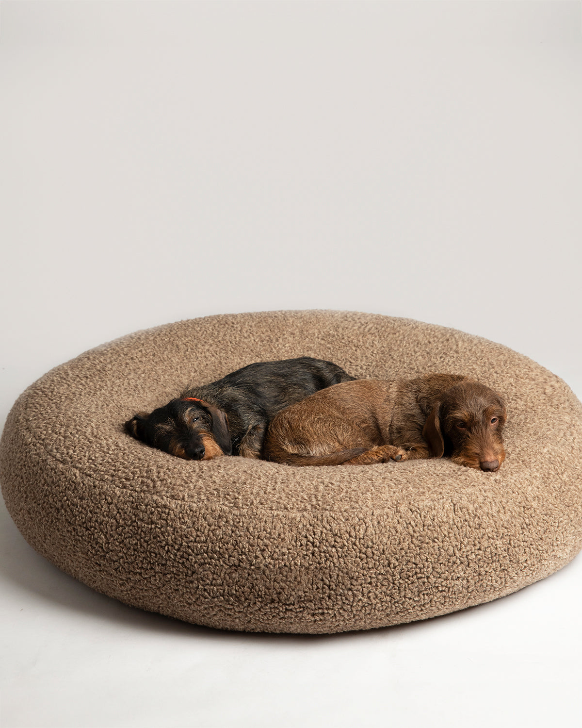 FULVIO BOUCLÉ WOOL BED | מיטת פוף לכלב