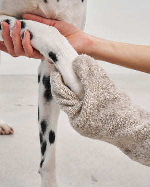 כפפת מגבת לכלב | GUANTO DOG DRYING GLOVES