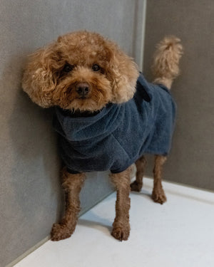 BAGNO DOG BATHROBE | חלוק רחצה לכלב