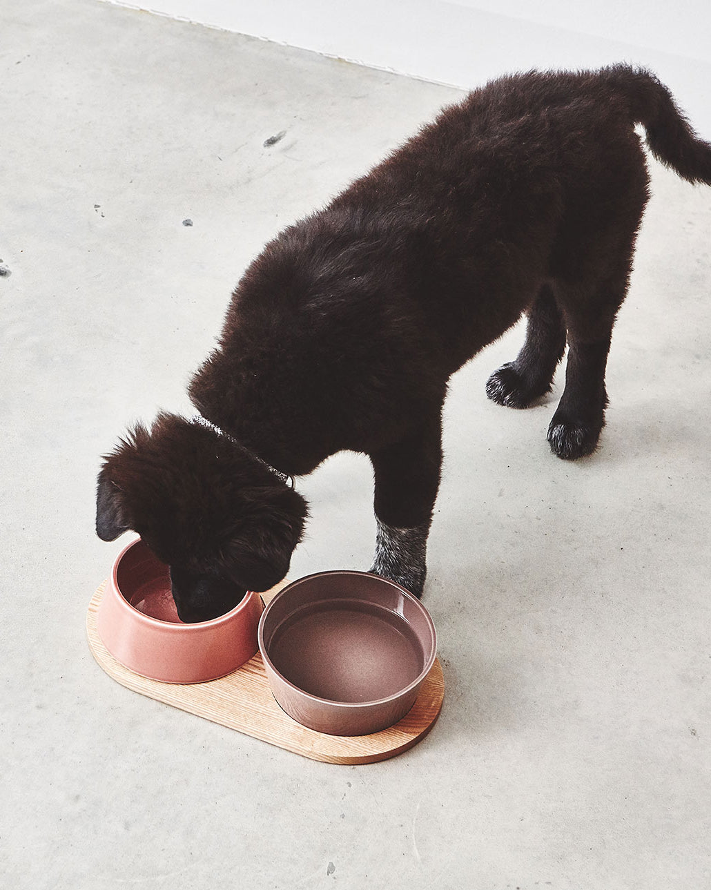 DOPPIO DOG BOWLS SET | סט קערות לכלב