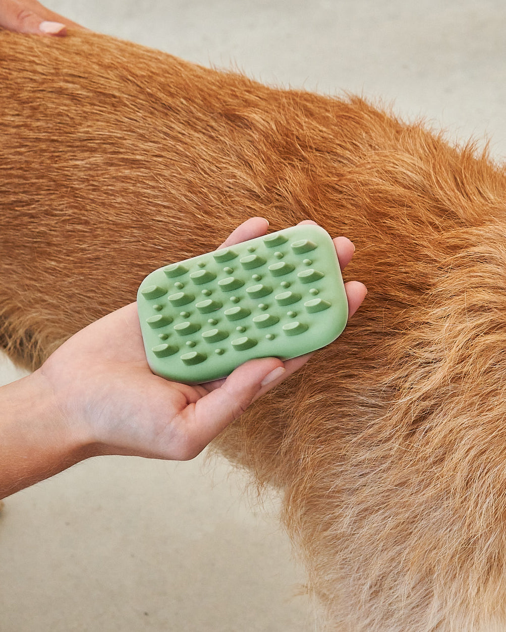 PELO DOG BRUSH | מברשת לכלב