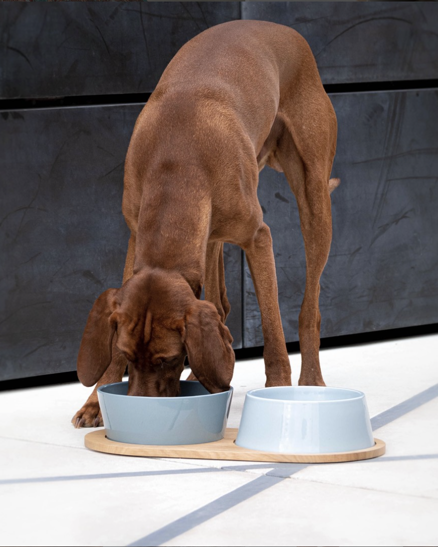 DOPPIO DOG BOWLS SET | סט קערות לכלב