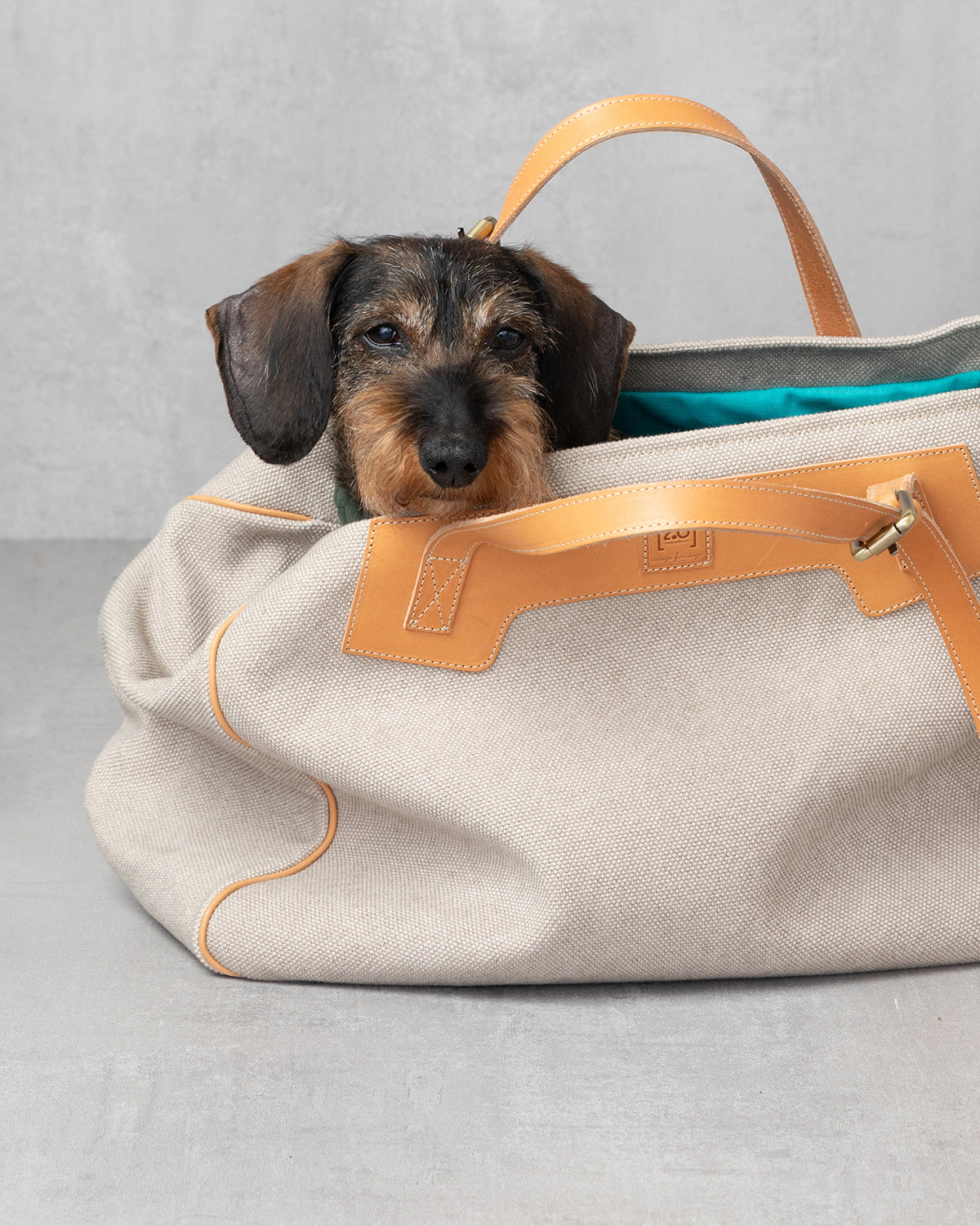 MARGARET ORGANIC COTTON DOG BAG | תיק נשיאה לכלב או תיק לבעלים