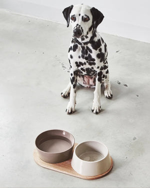 DOPPIO DOG BOWLS SET | סט קערות לכלב