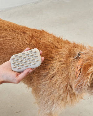 PELO DOG BRUSH | מברשת לכלב