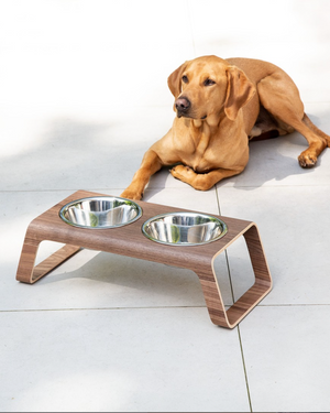 REPLACEMENT DOG BOWLS | קערות להחלפה למעמדי קערות לכלבים