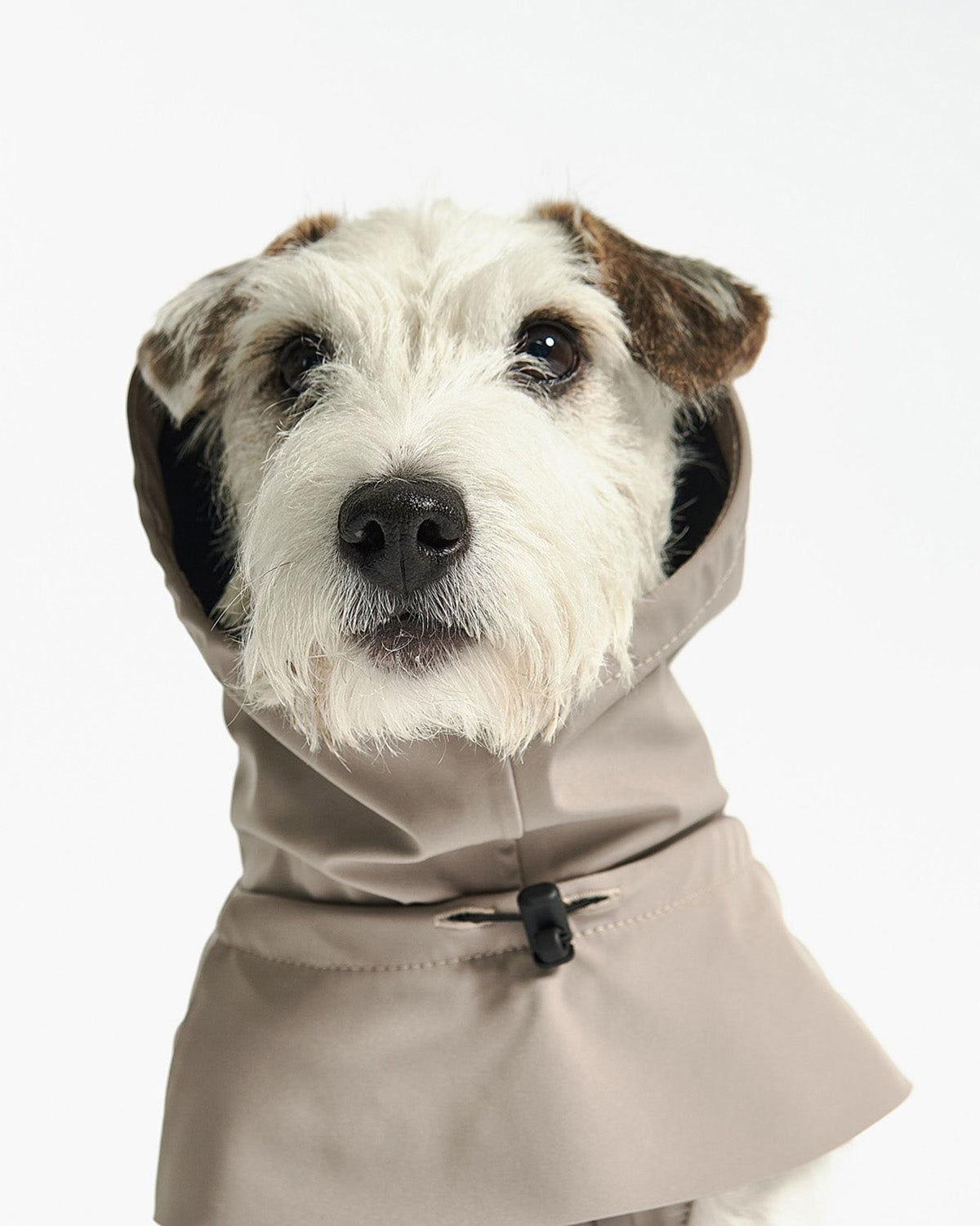 VALENTINA DOG RAINCOAT | מעיל גשם ורוח לכלב