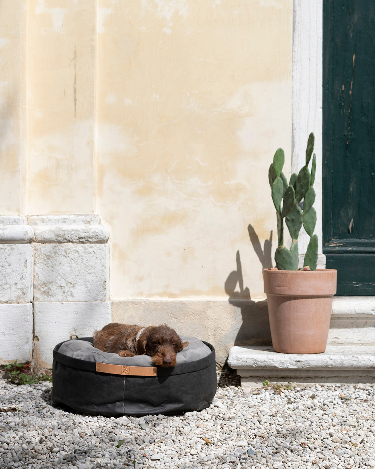 IRVING DOG BED | מיטה לכלב