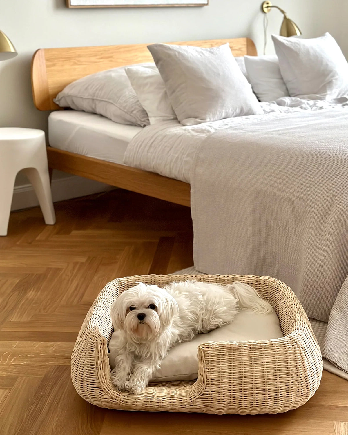 MIO DOG BED BASKET | מיטה לכלב