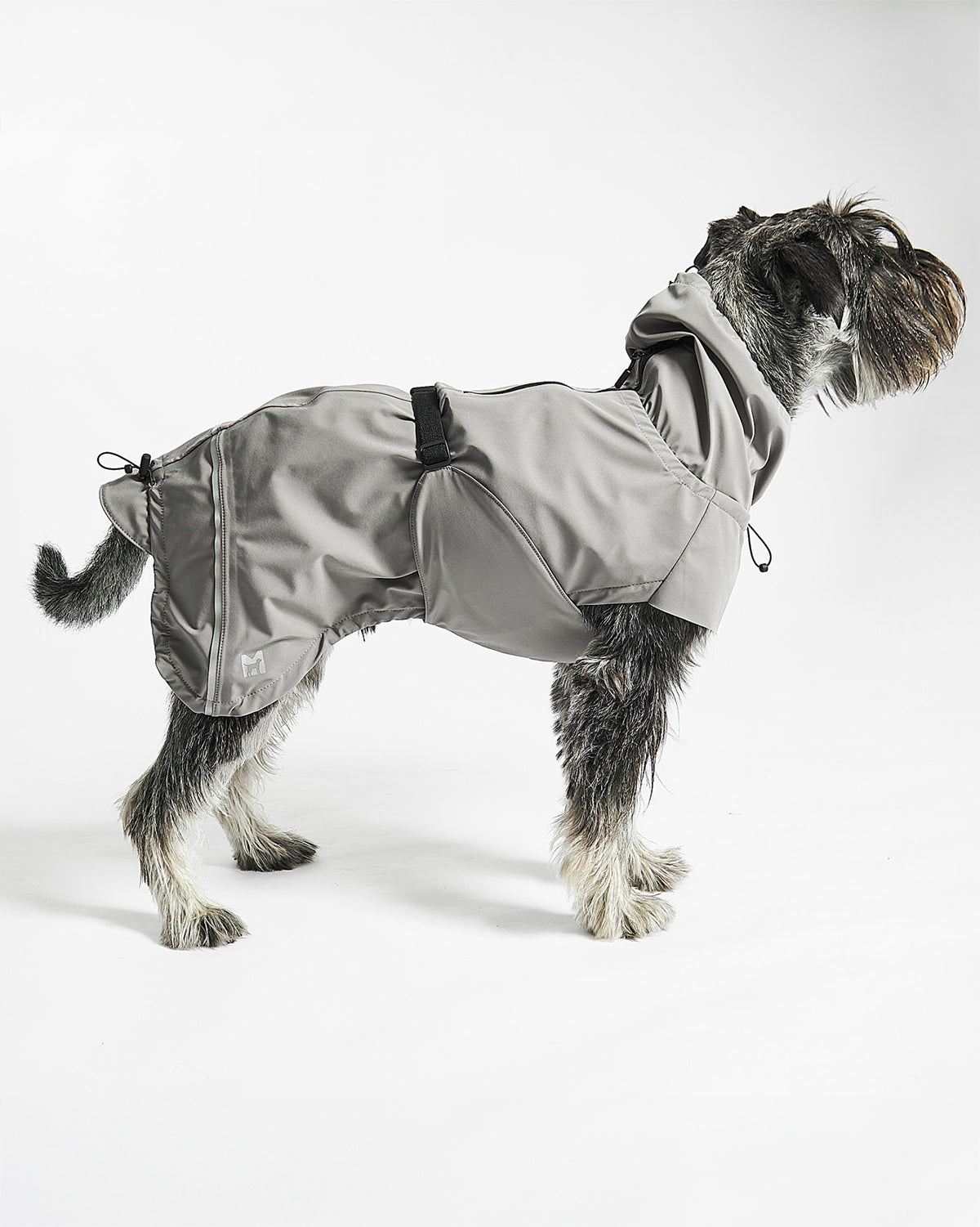 VALENTINA DOG RAINCOAT | מעיל גשם ורוח לכלב