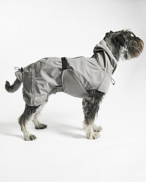 VALENTINA DOG RAINCOAT | מעיל גשם ורוח לכלב