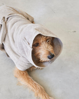 BAGNO DOG BATHROBE | חלוק רחצה לכלב