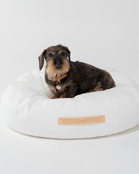 מיטת פוף לכלב | FULVIO DOG BED |