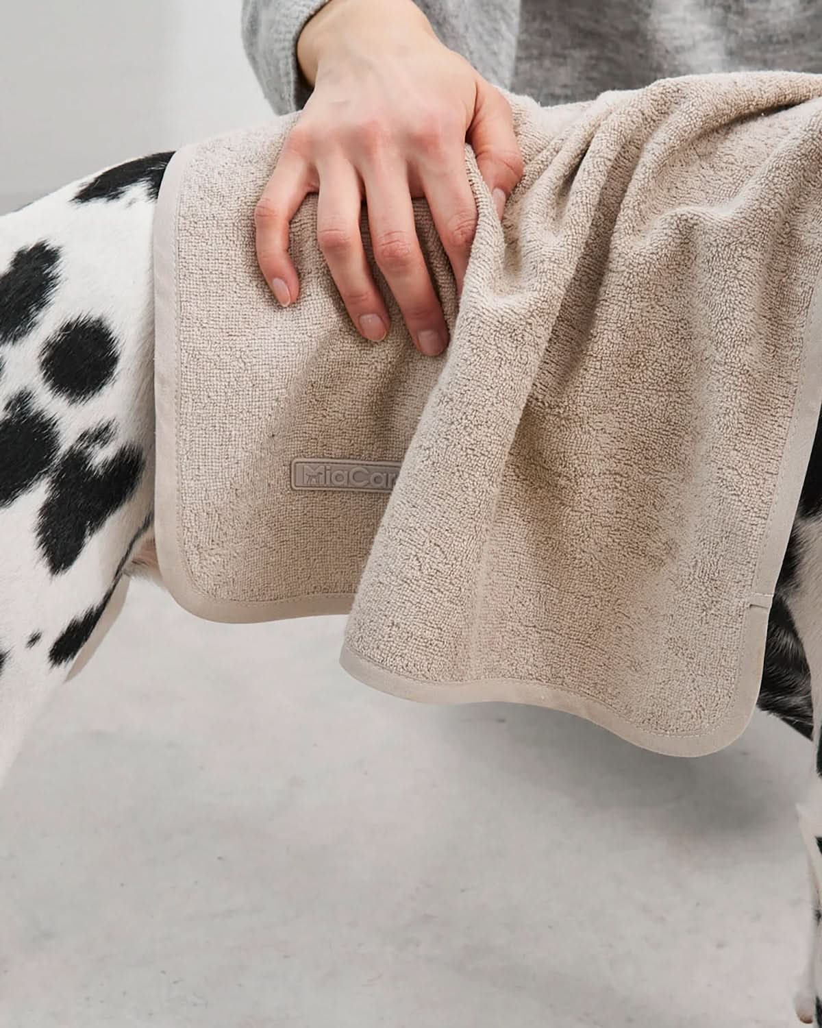 מגבת לכלב מכותנה אורגנית | SECCO DOG TOWELS