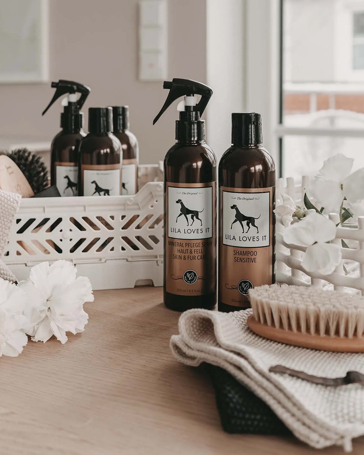 SENSITIVE DOG SHAMPOO | שמפו לכלב בעל עור רגיש