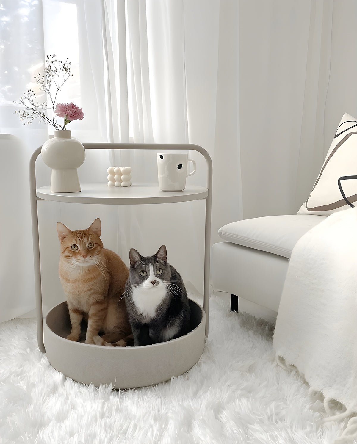 TAVOLINO CAT BED | שולחן קפה / מיטה לחתול