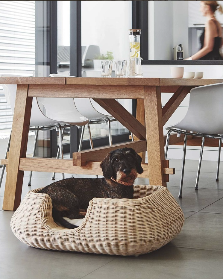 MIO DOG BED BASKET | מיטה לכלב