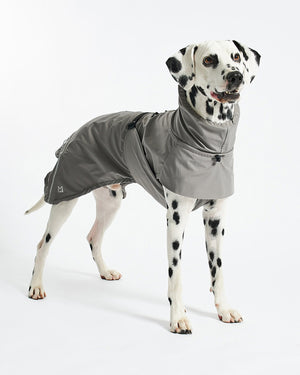 VALENTINA DOG RAINCOAT | מעיל גשם ורוח לכלב